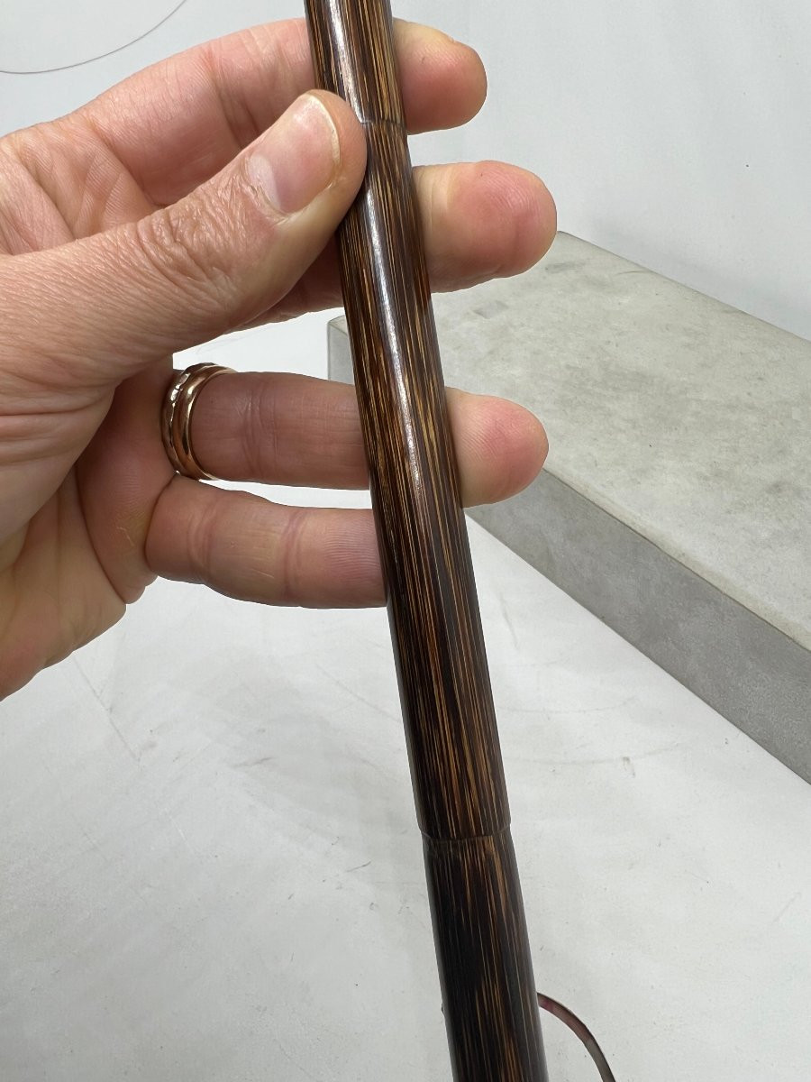 Animated Stick-photo-7