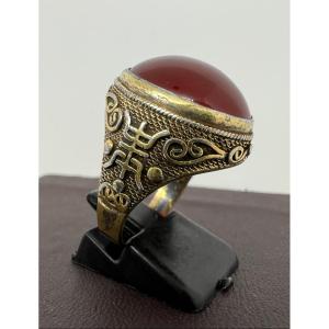 Premiere-Image-1711907