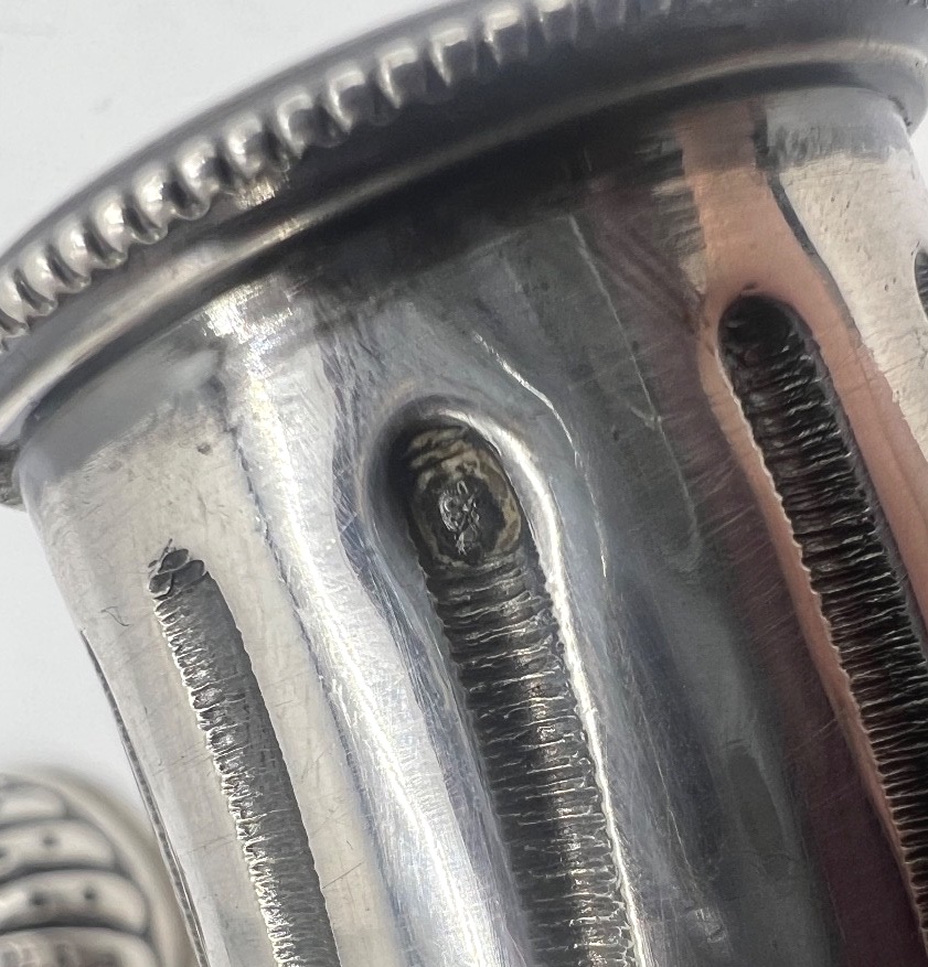 Solid Silver Floorcloth-photo-2