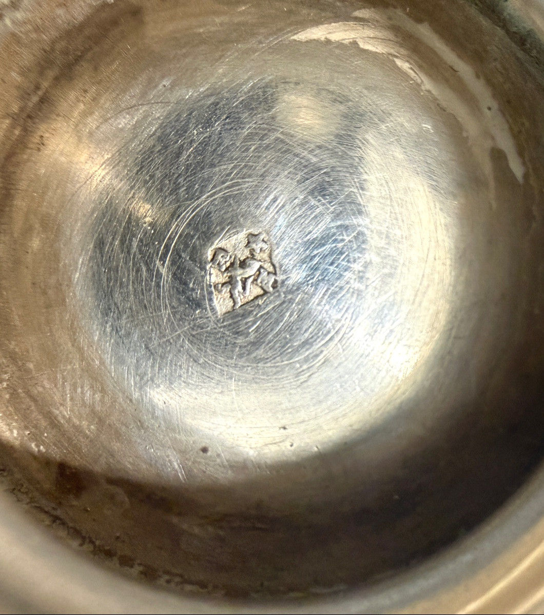 Solid Silver Floorcloth-photo-3