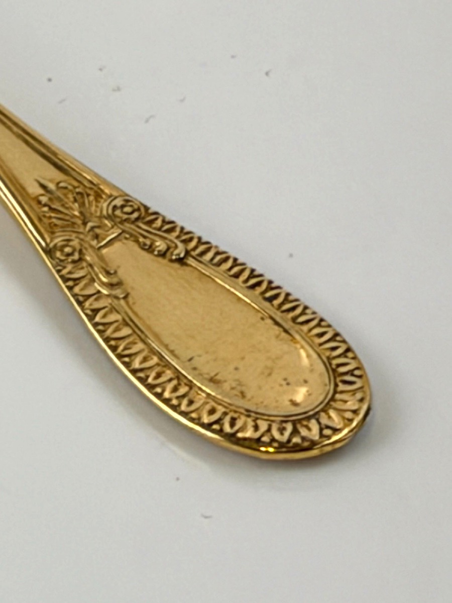 Set Of 12 Vermeil Mocha Spoons By Hénin-photo-6