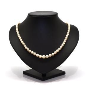 Vintage Pearl Necklace