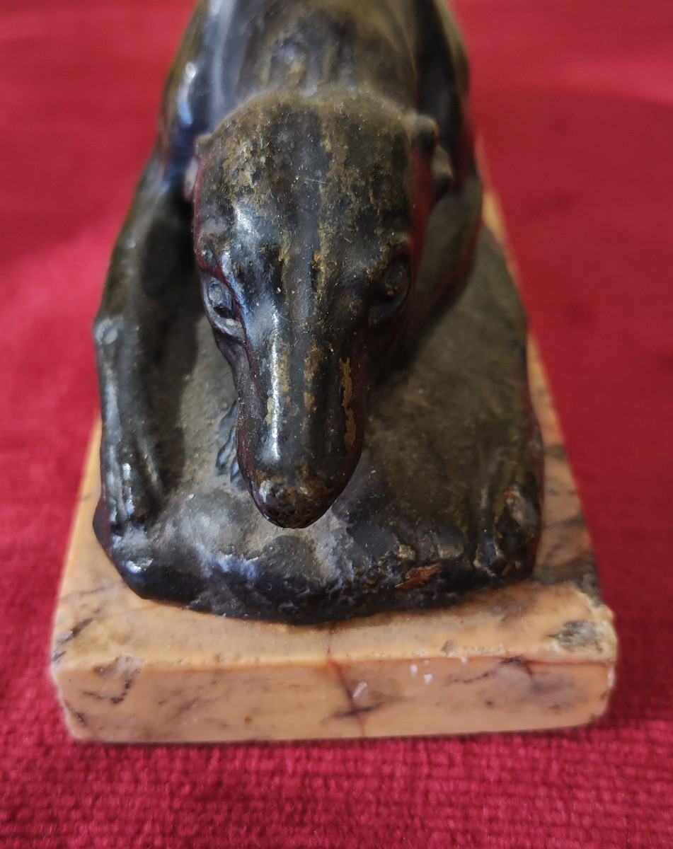 lévrier en bronze-photo-2