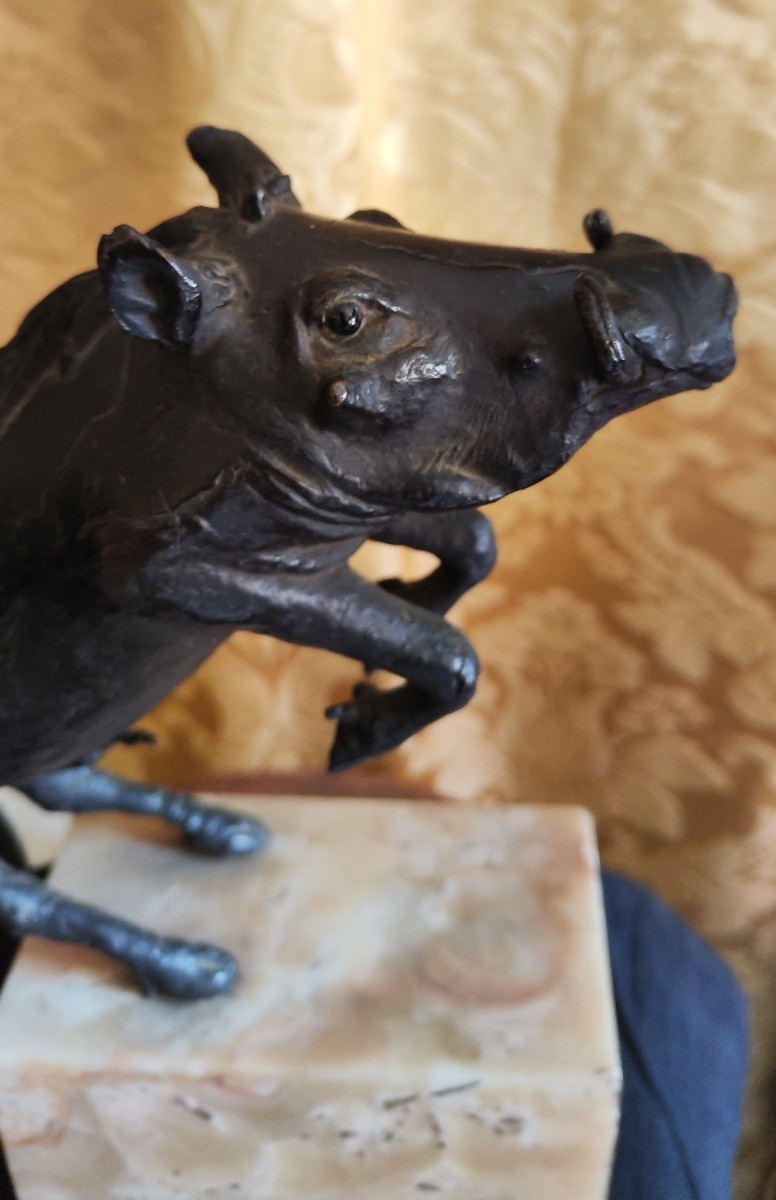sanglier en bronze-photo-2