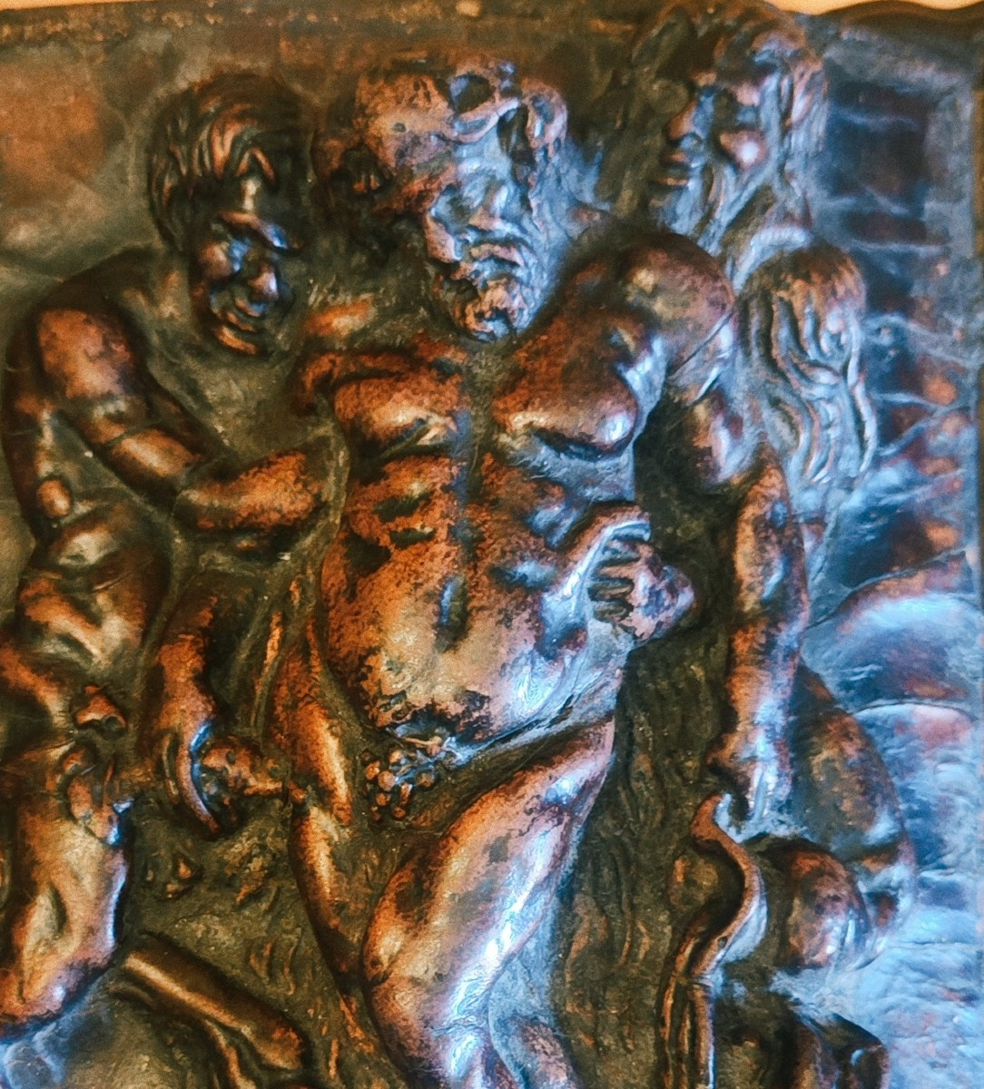 Box Whit Fauna-photo-2