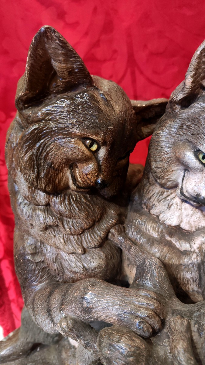 famille de chats-photo-2