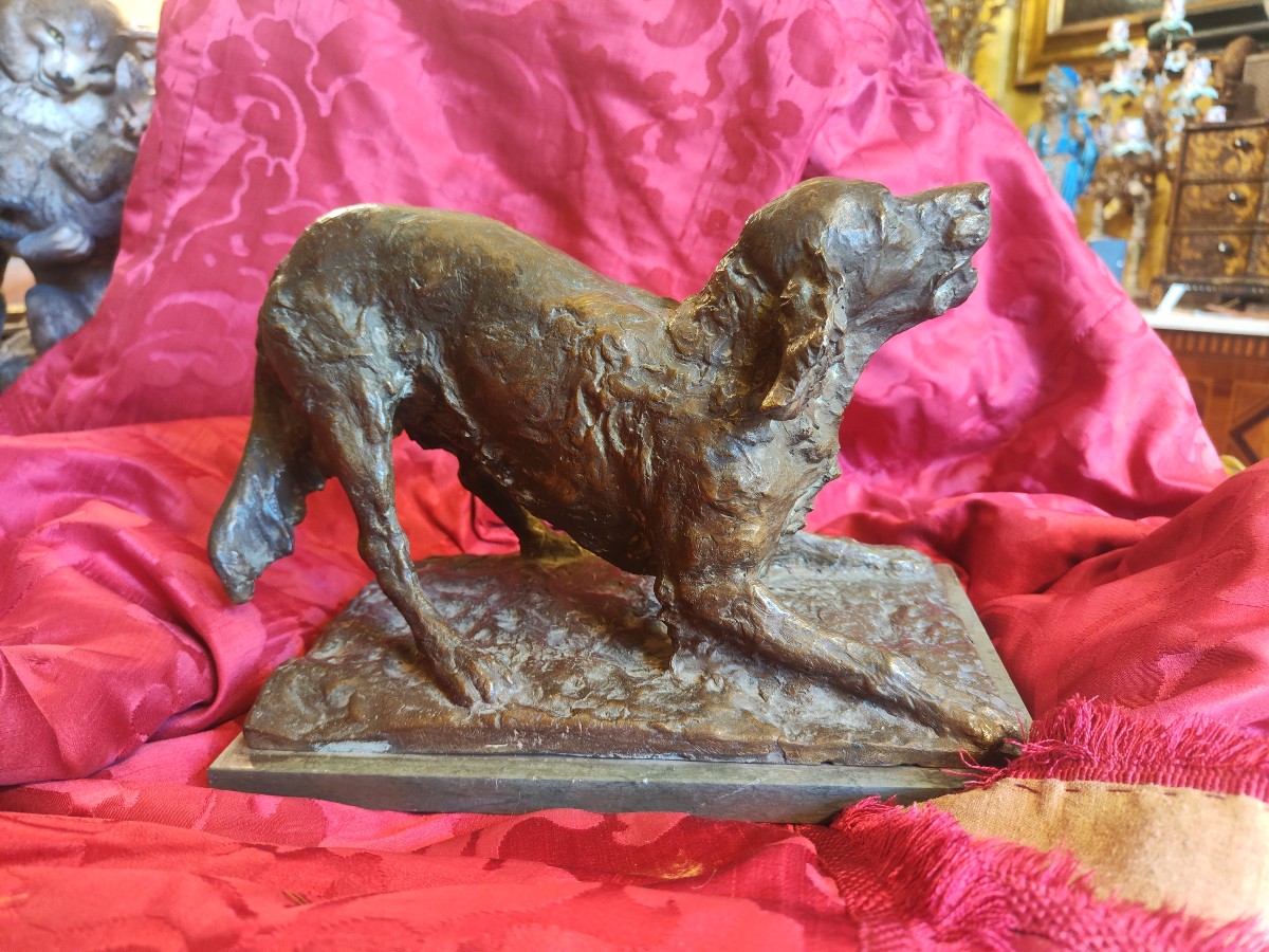 Bronze Setter Dog-photo-1
