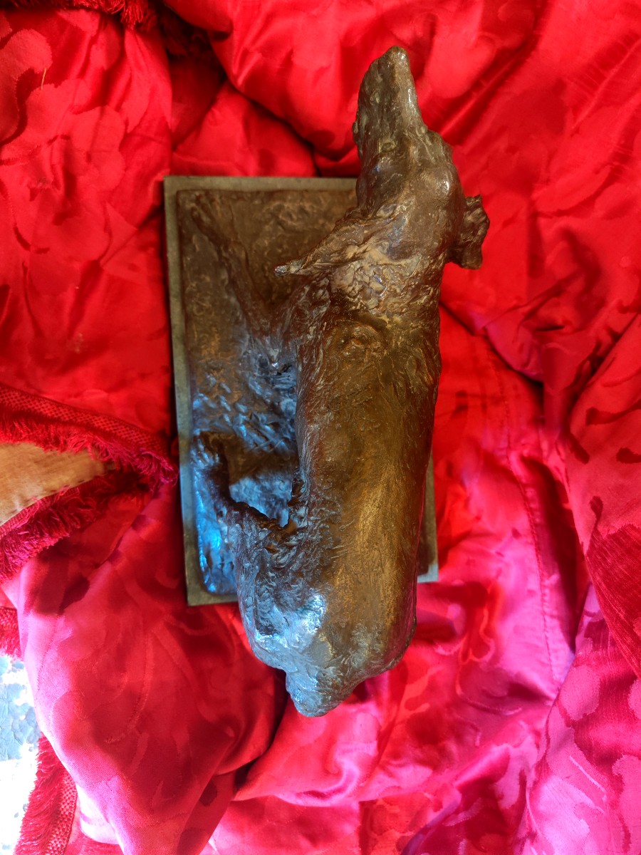 Bronze Setter Dog-photo-3