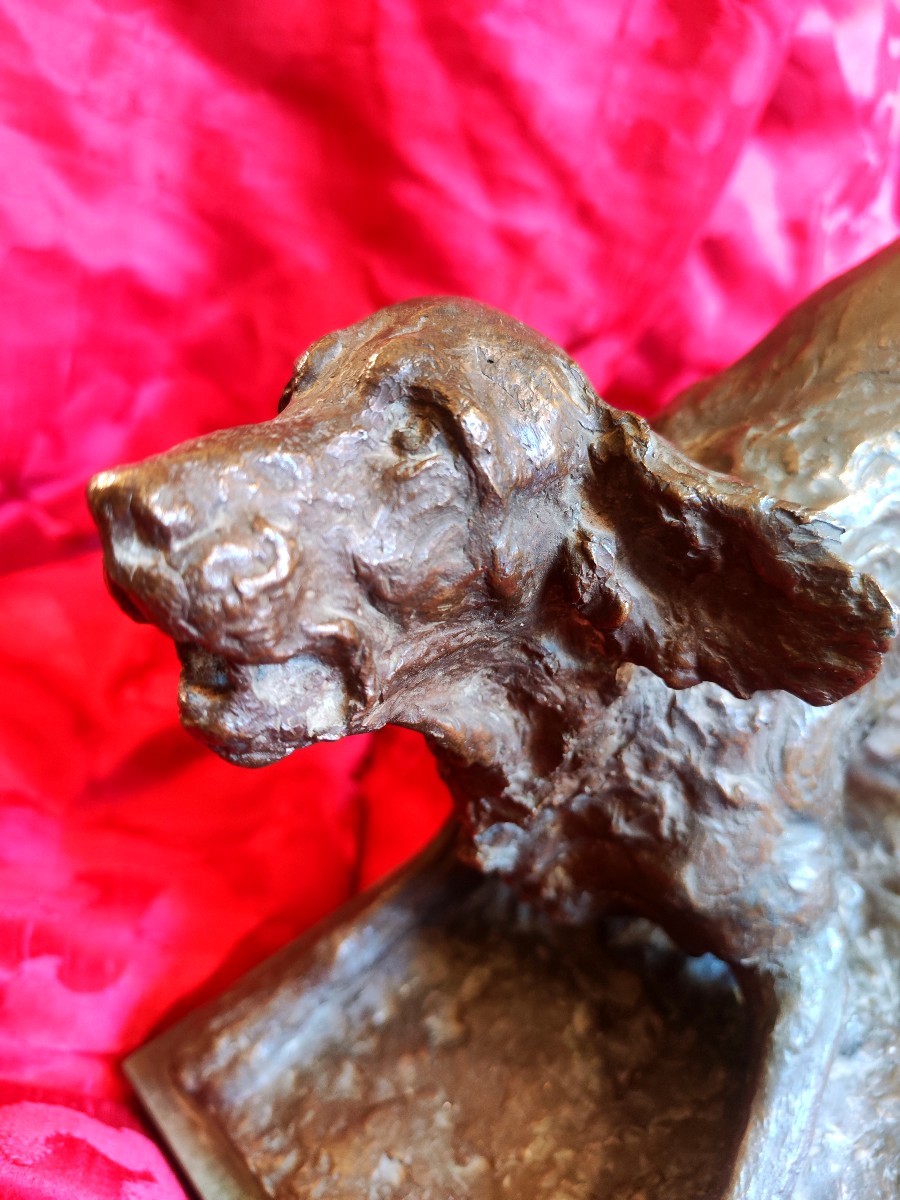 Bronze Setter Dog-photo-4