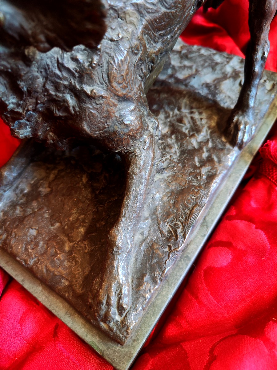 Bronze Setter Dog-photo-5