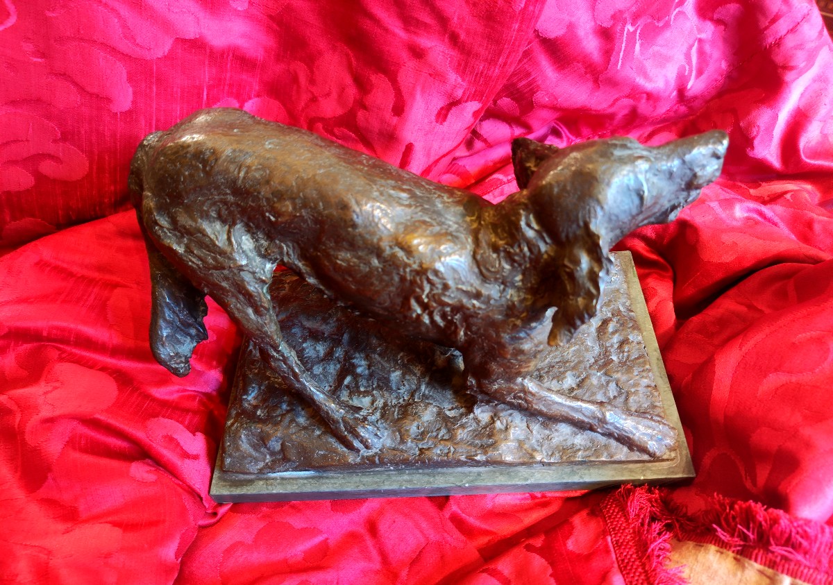 Bronze Setter Dog
