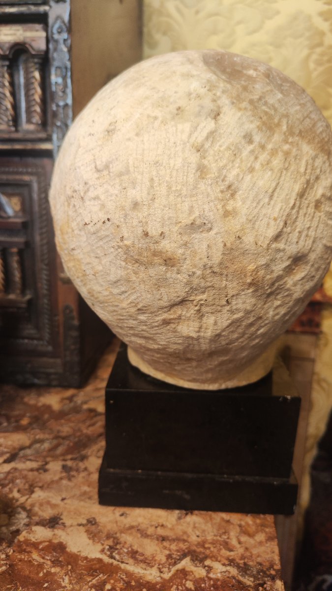 Grand Tour -photo-1