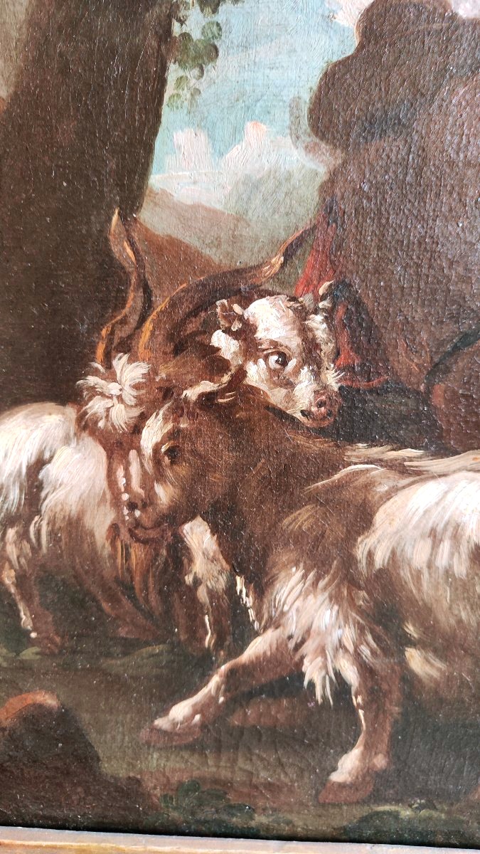 Pair Of Paintings 