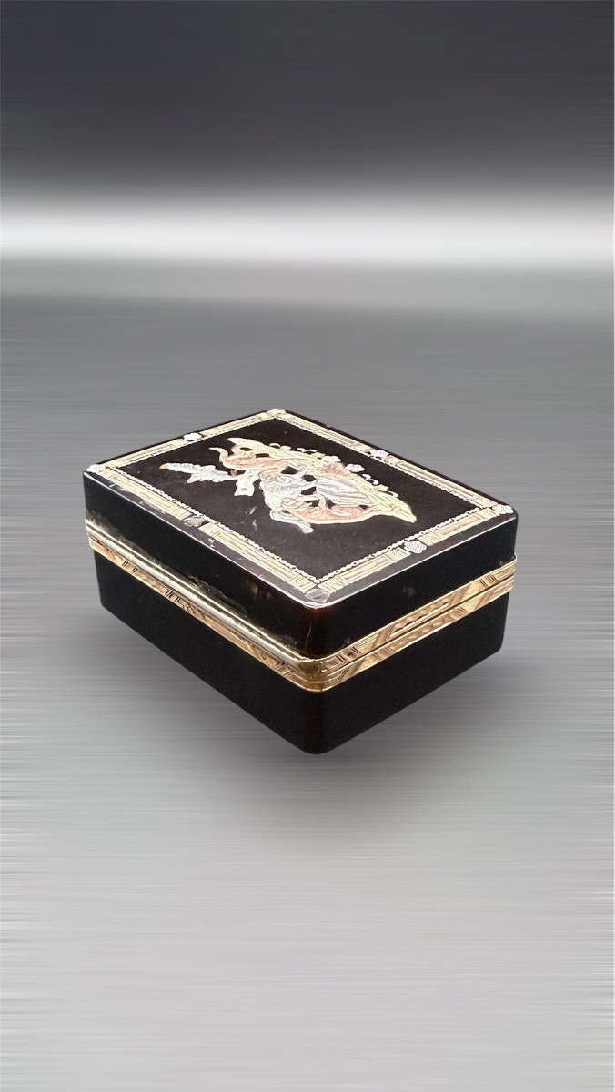 Tortoiseshell And Three-color Gold Piqué Patch Box – Paris, 1762–1768-photo-3