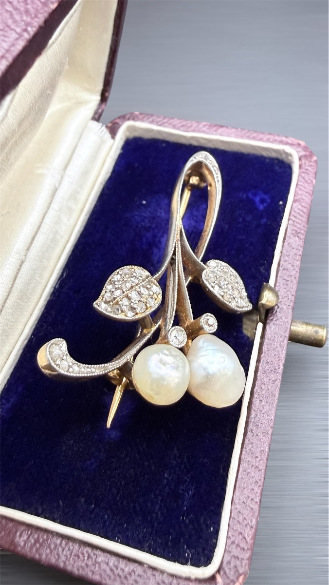 Art Nouveau 18k Yellow Gold Brooch, Fine Sea Water Pearls, Circa 1900.-photo-4