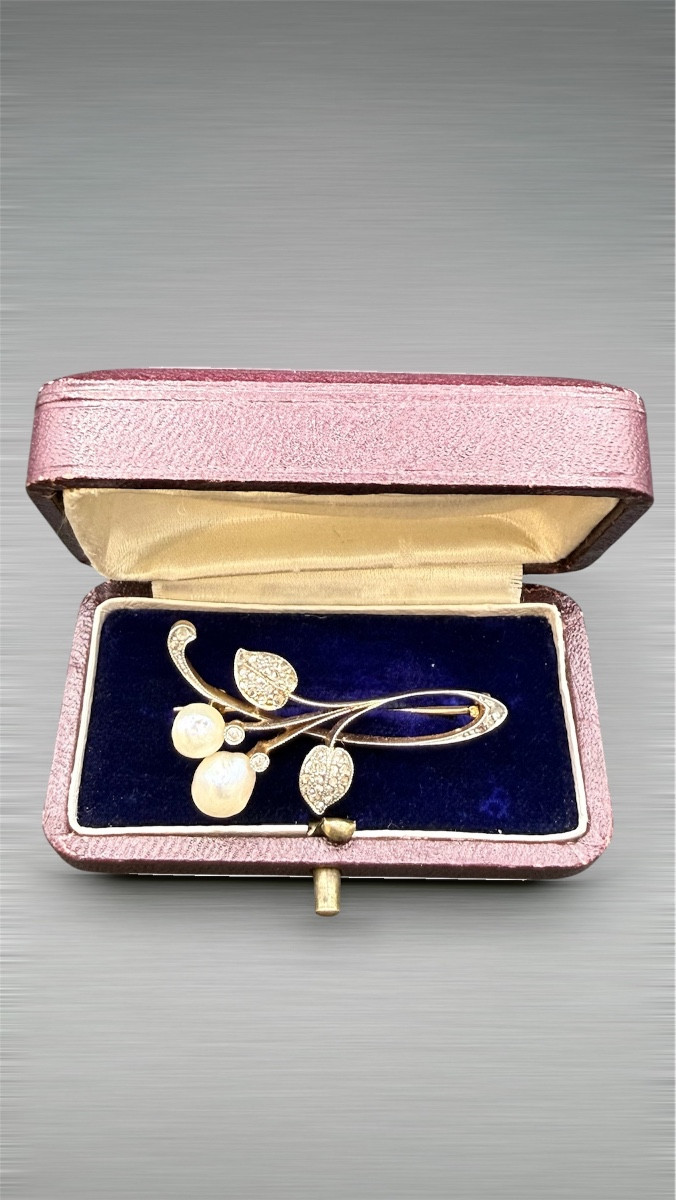 Art Nouveau 18k Yellow Gold Brooch, Fine Sea Water Pearls, Circa 1900.