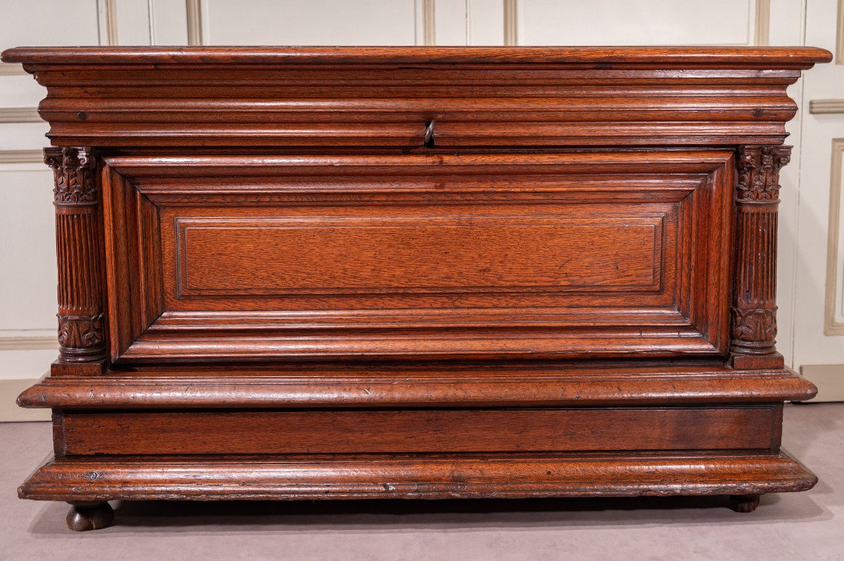 Norman Renaissance Chest, 17th Century Period-photo-3
