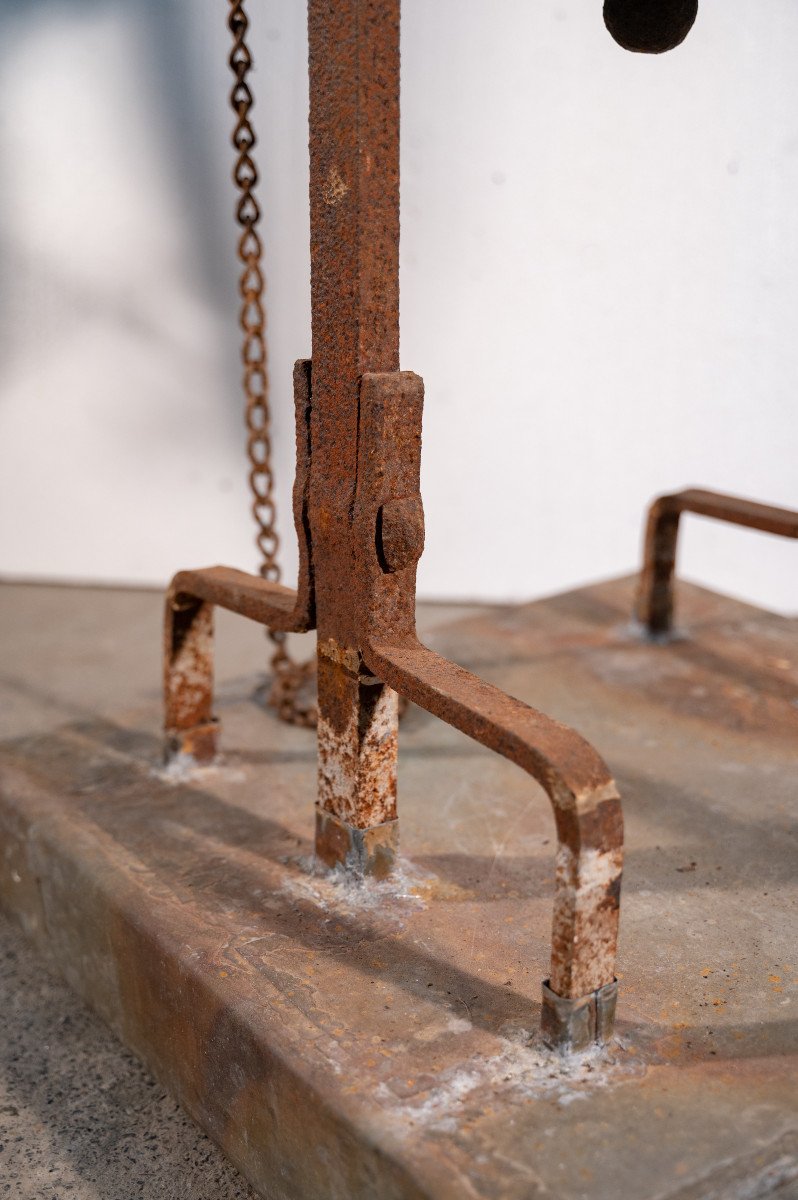 Property Bell Or Tinker Bell-photo-1