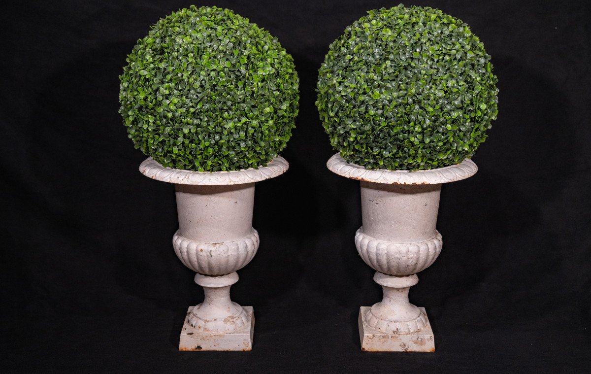 Pair Of Medici Vases