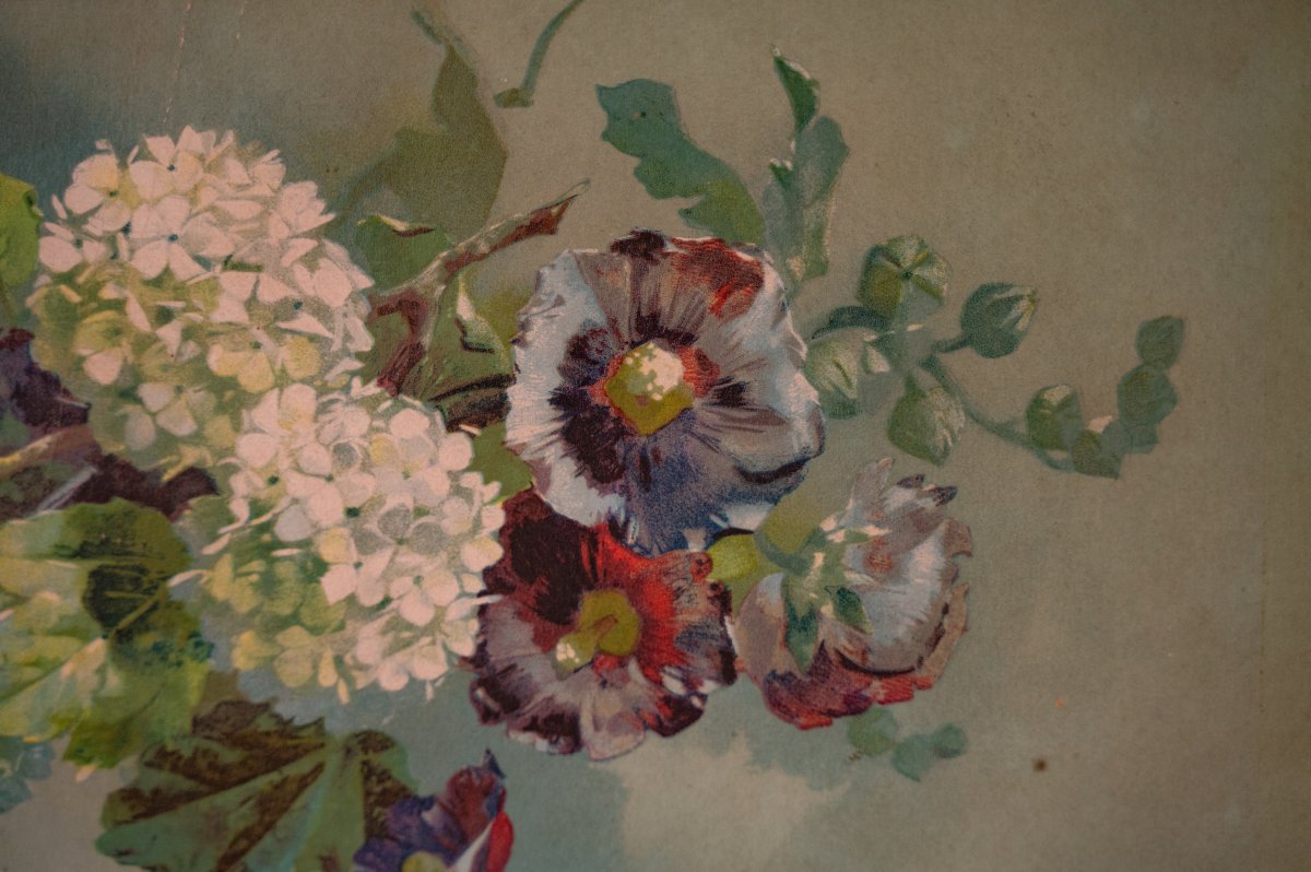 Nature morte, composition florale-photo-3