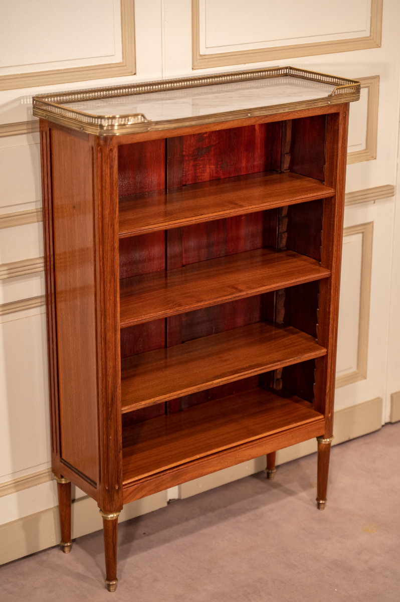 Bibus, petite bibliothèque en acajou de style Louis XVI