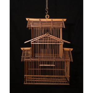 Cage à Oiseaux Indochinoise