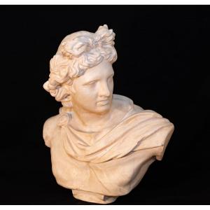 Très important buste d'Apollon du belvédère