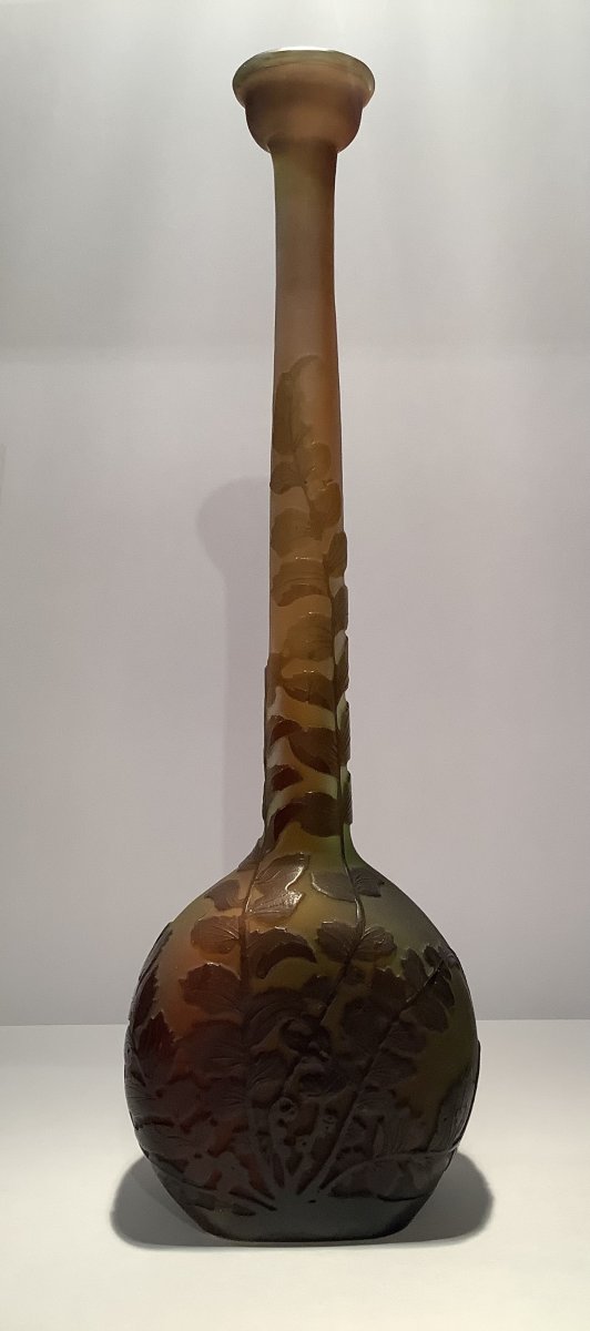 Vase Emile Galle  Lacrimoir Aux Fougères -photo-5
