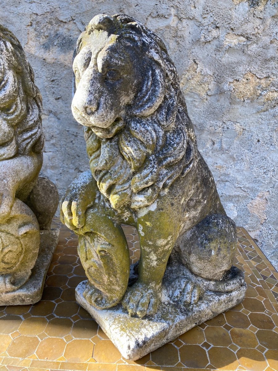 Pair Of Stone Lions-photo-4