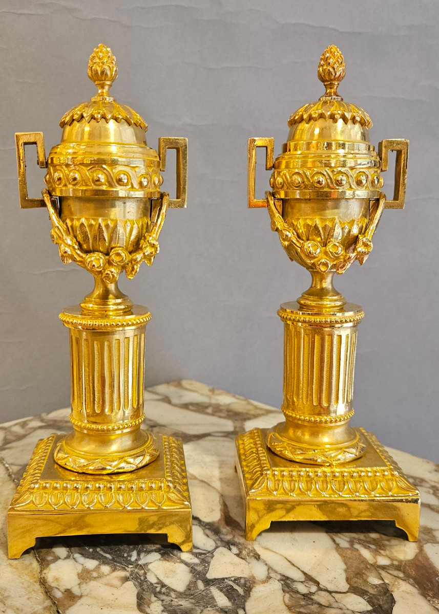Pair Of Louis XVI Reversible Gilt Bronze Casseroles-photo-3