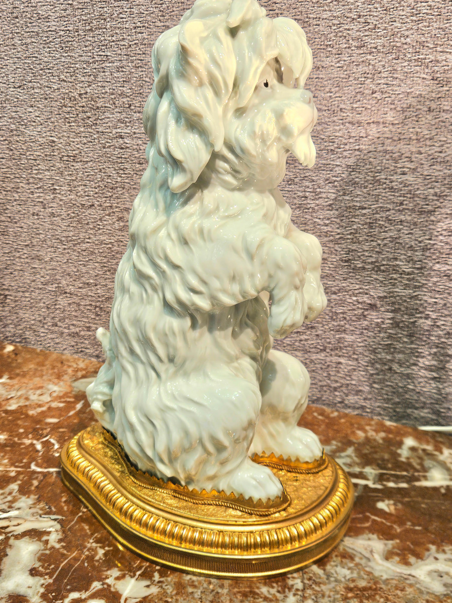 Bichon Frise Dog, Porcelain Sculpture With A Gilt Bronze Base. Late 19th/early 20th Century-photo-3