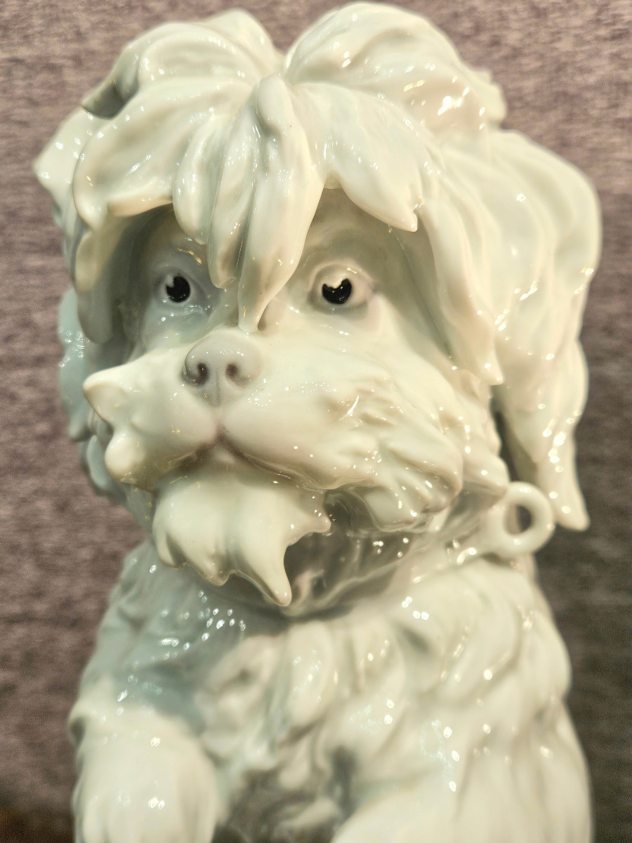 Bichon Frise Dog, Porcelain Sculpture With A Gilt Bronze Base. Late 19th/early 20th Century