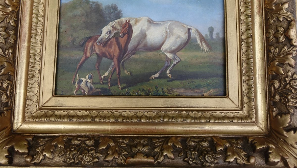 Huile Sur Panneau, Cheval Et Son Poulain-photo-2