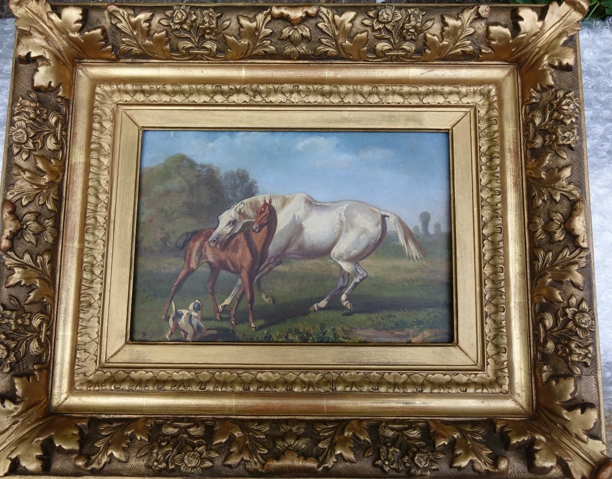 Huile Sur Panneau, Cheval Et Son Poulain