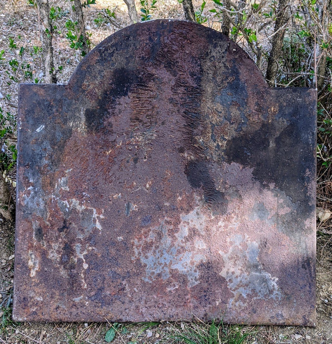 Fireback-photo-1