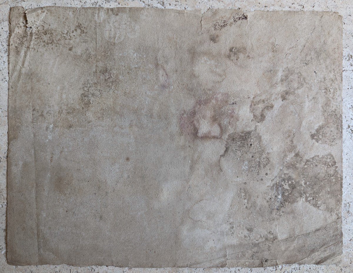 Grape Harvester And His Dog-photo-4