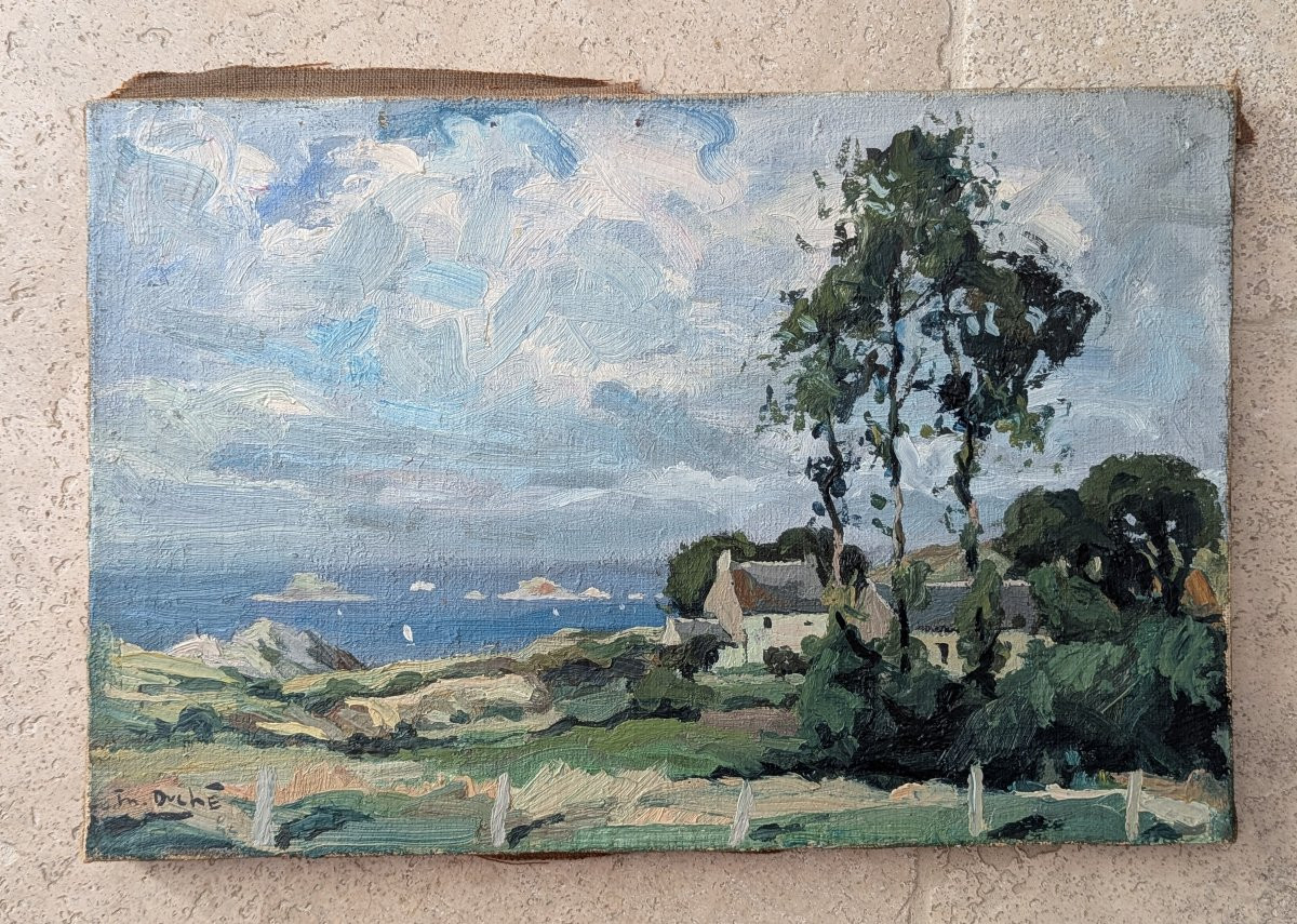 Littoral breton par Michel Duché -photo-6