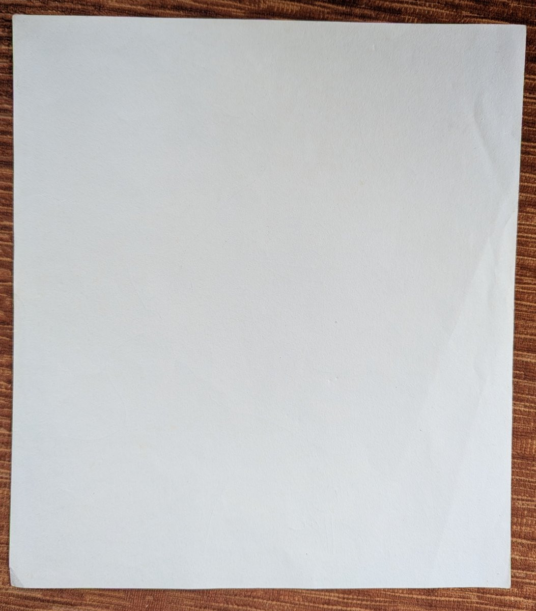 Portrait Of Arlette Merry By Charles Kiffer-photo-3