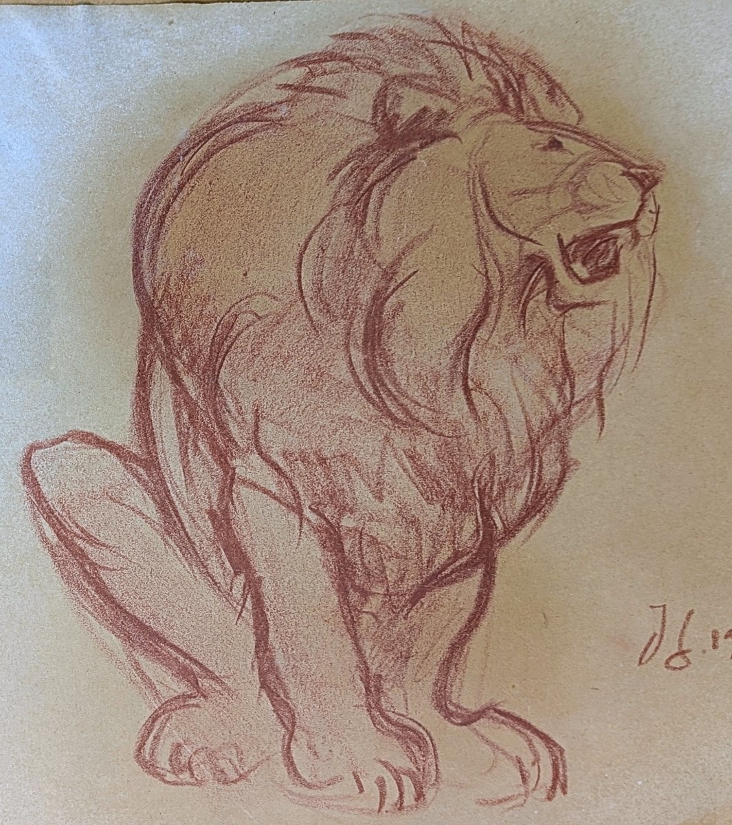 Lion rugissant par Jacques Gachot. Sanguine. 1927 Dessin animalier -photo-3