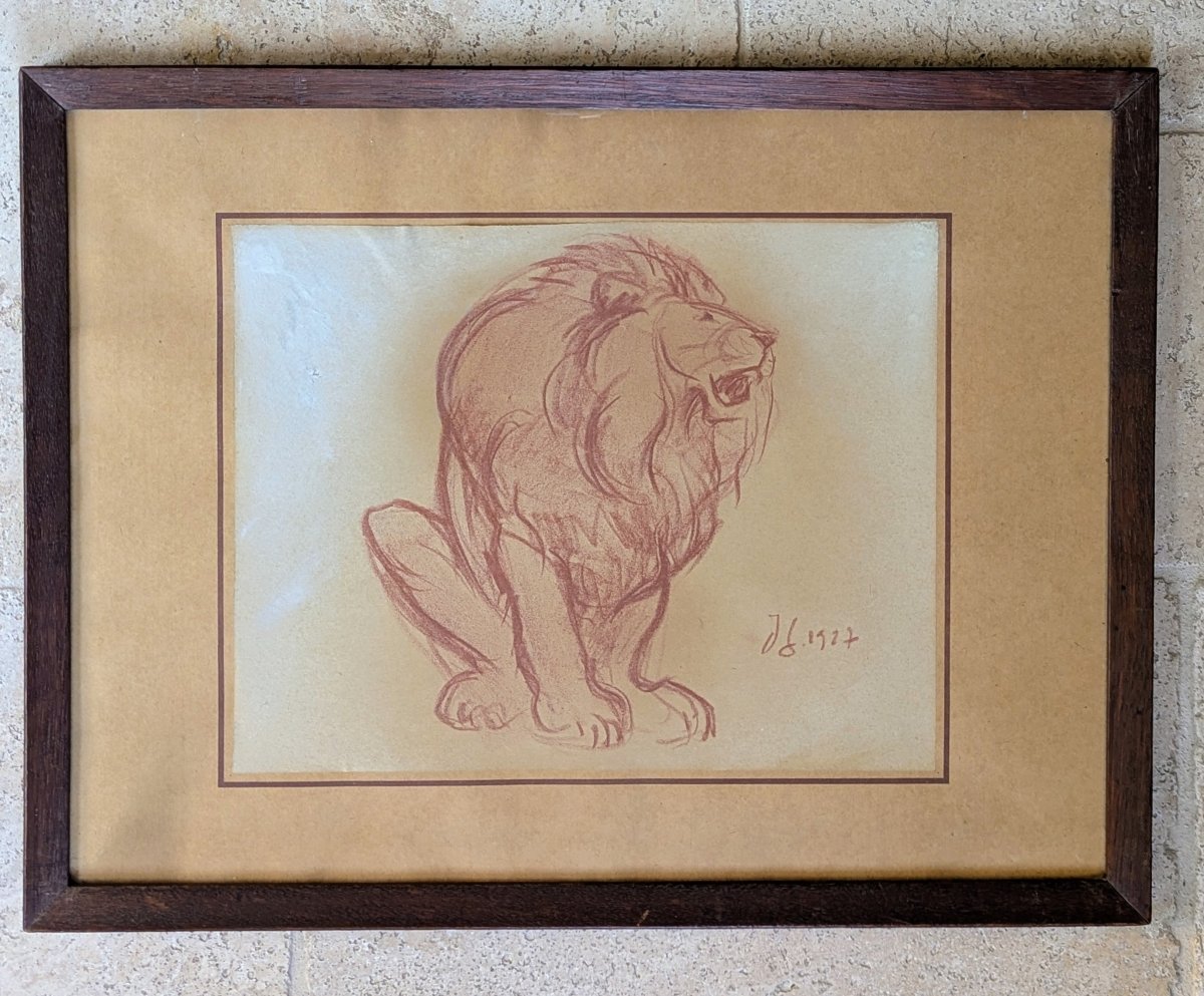 Lion rugissant par Jacques Gachot. Sanguine. 1927 Dessin animalier -photo-4