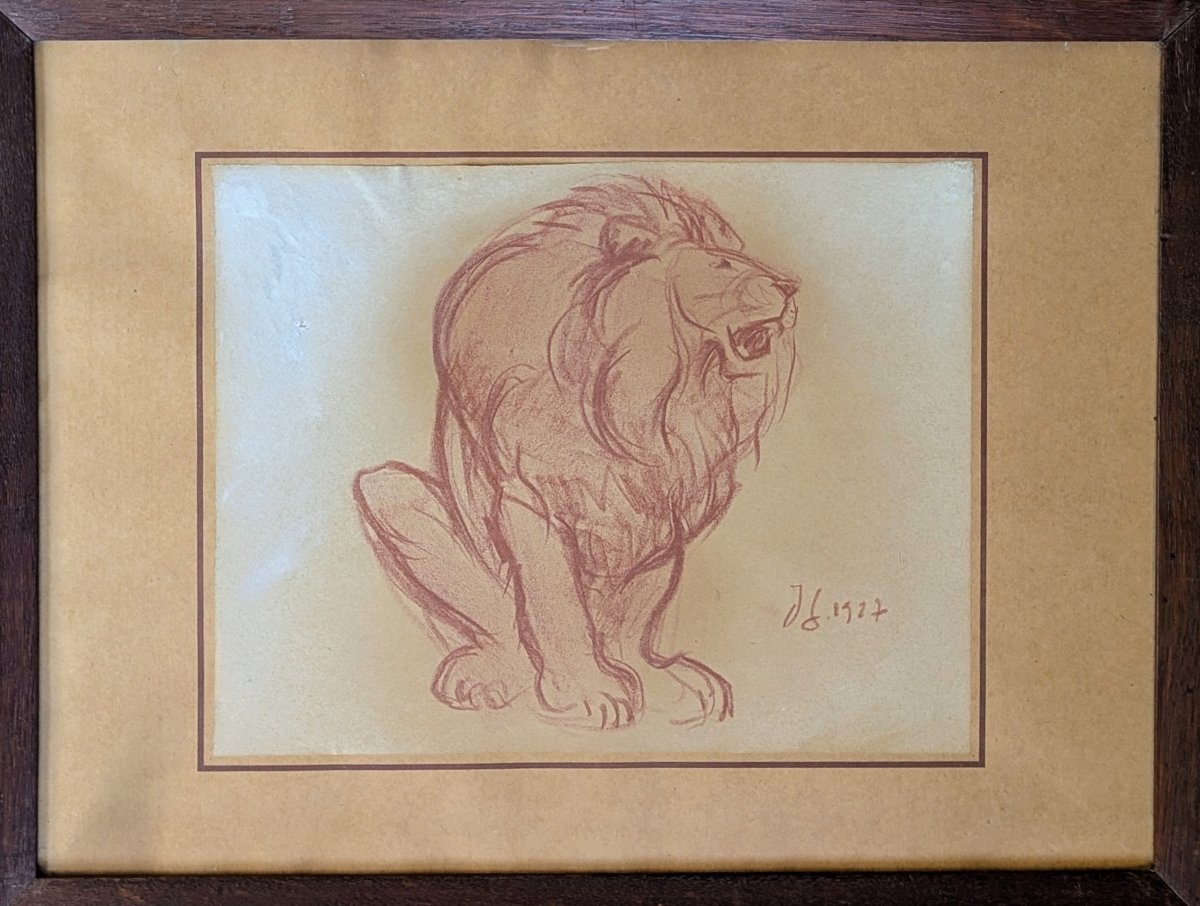 Lion rugissant par Jacques Gachot. Sanguine. 1927 Dessin animalier 