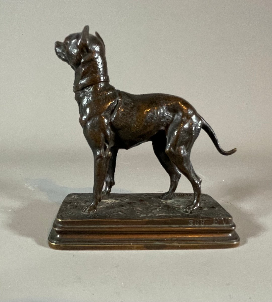 Chien En Bronze Type Pitbull Alfred Dubucand (1828-1903)-photo-2