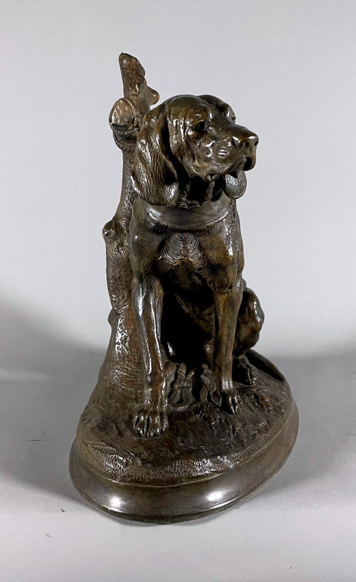 Hunting Dog With Bronze Attachment After Victor Chemin (1823-1901)-photo-2