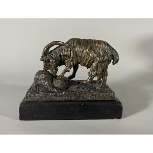 Bronze Goat Al Barye 1795-1875 Delafontaine Founder