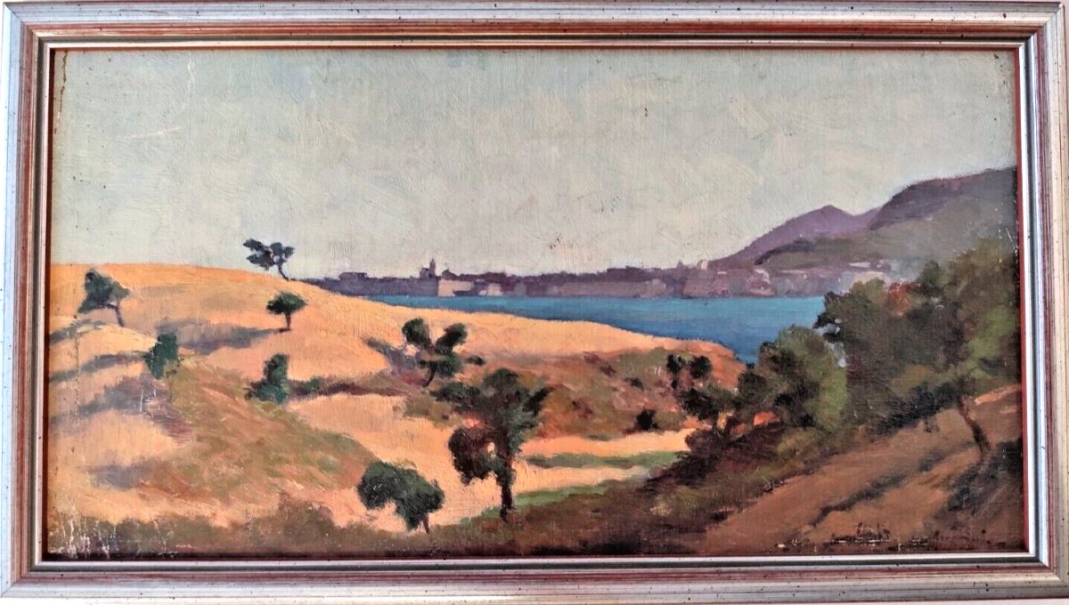 Bib 8—oil On Panel—françois Corbellini—flora Of Ajaccio—corsica—1955