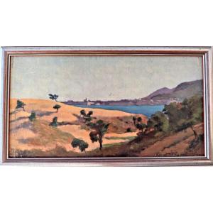 Bib 8—oil On Panel—françois Corbellini—flora Of Ajaccio—corsica—1955