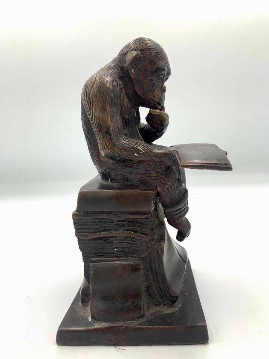  Reading Monkey - Bronze With Dark Brown Patina - 19th Century School-photo-3