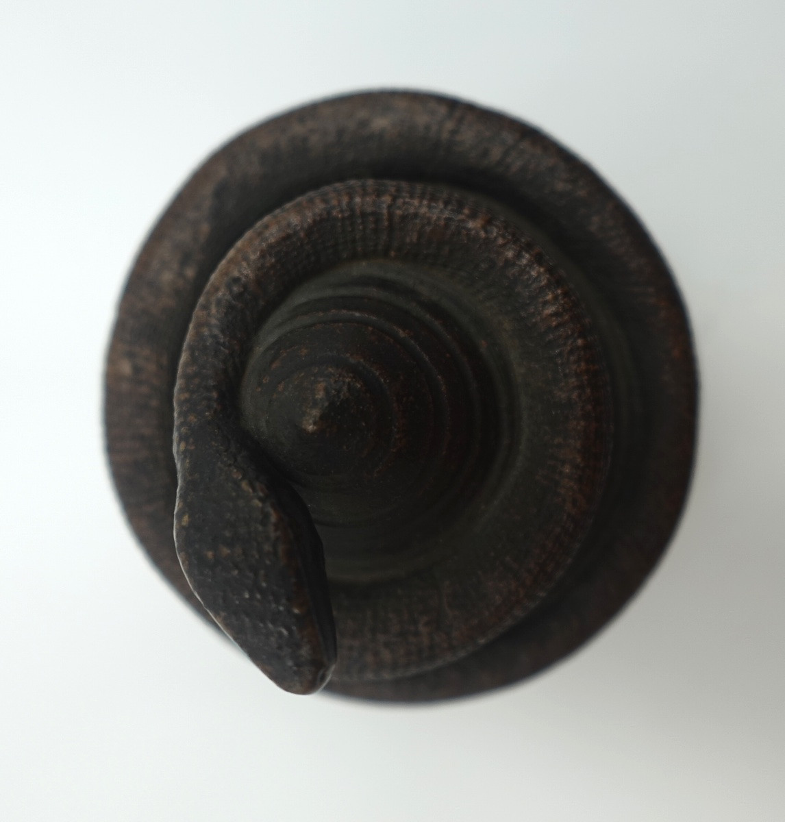 Japan, Bizen Kilns – Edo Period (1603–1868) – Tama Pearl And Snake Okimono-photo-6