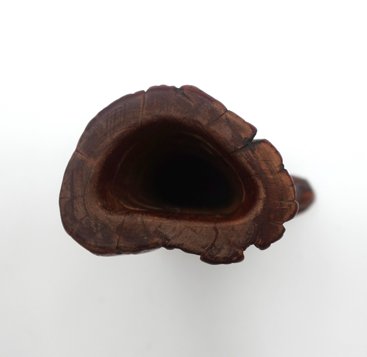 Japan, Shōwa Period (1926–1989) - Tree Stump-shaped Brush Holder-photo-3