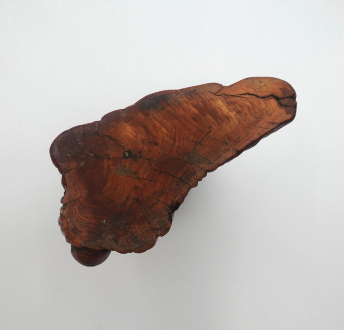 Japan, Shōwa Period (1926–1989) - Tree Stump-shaped Brush Holder-photo-4